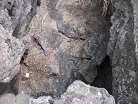 Grotte di casa del vescovo